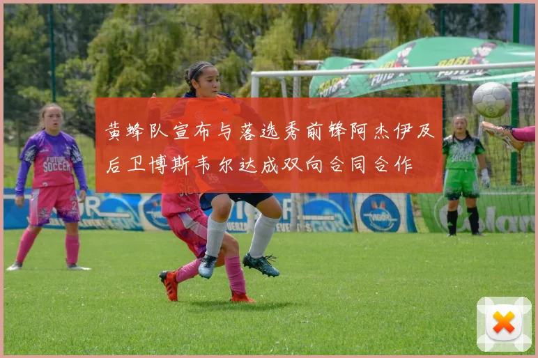 黄蜂队宣布与落选秀前锋阿杰伊及后卫博斯韦尔达成双向合同合作