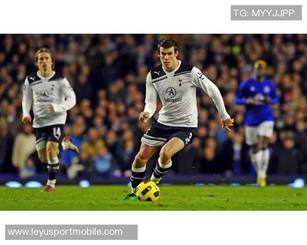 热刺计划在年前为范德文涨薪续约周薪提升至五万镑 热刺计划在年前为范德文涨薪续约周薪提升至五万镑