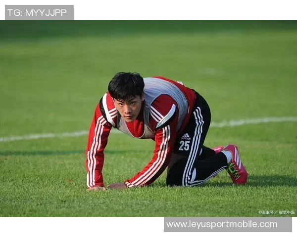 草皮质量堪忧王大雷呼吁大家共同维护主场草坪环境